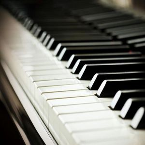 av在线观看网站
